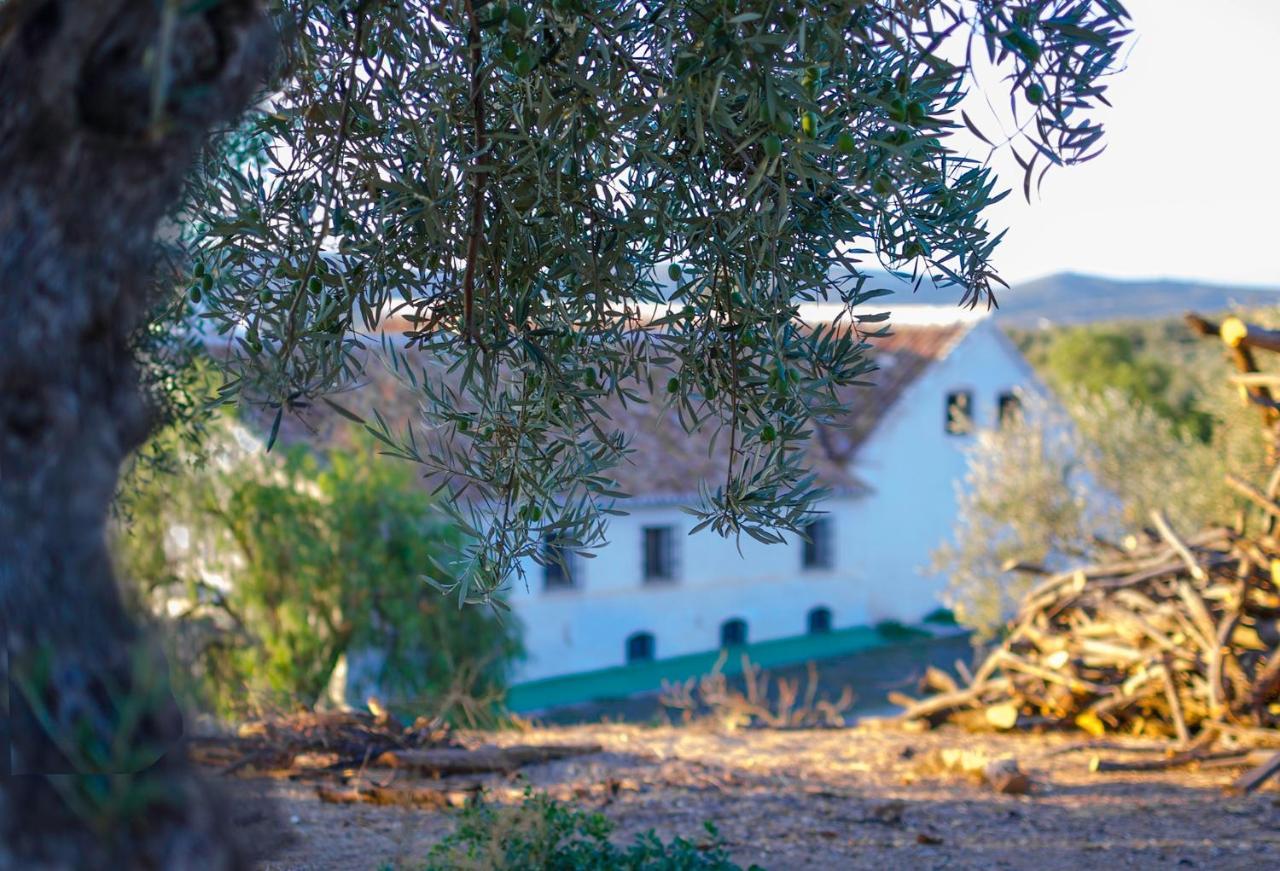 Vila Cortijo Alzamigaja Archidona Exteriér fotografie