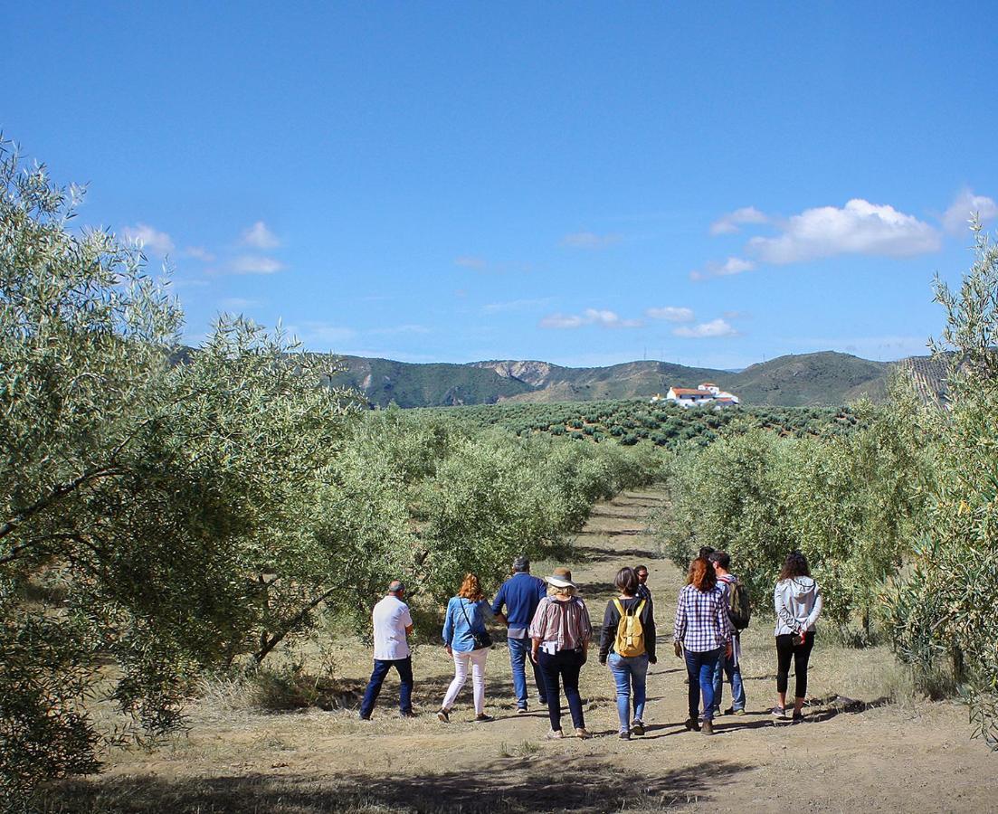 Vila Cortijo Alzamigaja Archidona Exteriér fotografie