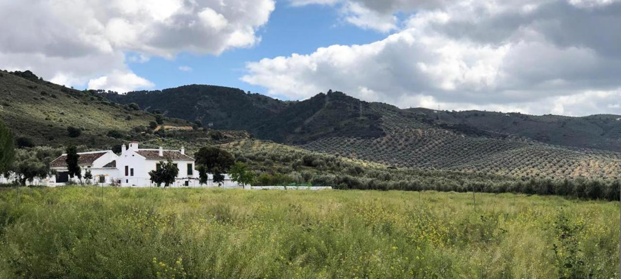 Vila Cortijo Alzamigaja Archidona Exteriér fotografie
